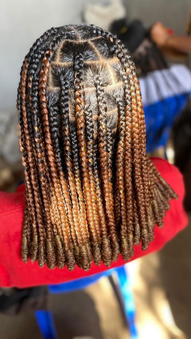 Long brown and black box braids with neat square parts on the scalp.