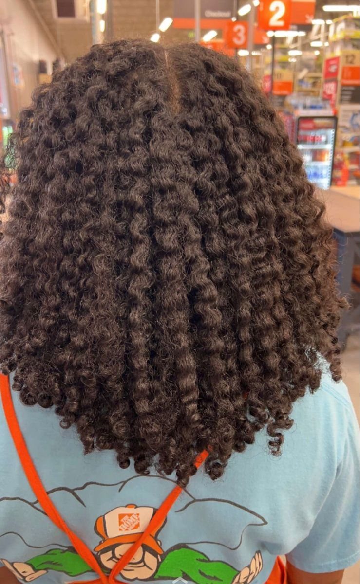 Afro Hair 4c Style Ideas: 19 Looks From Cornrows to Locs 7 Back view of voluminous 4C hair styled in a defined braid out.