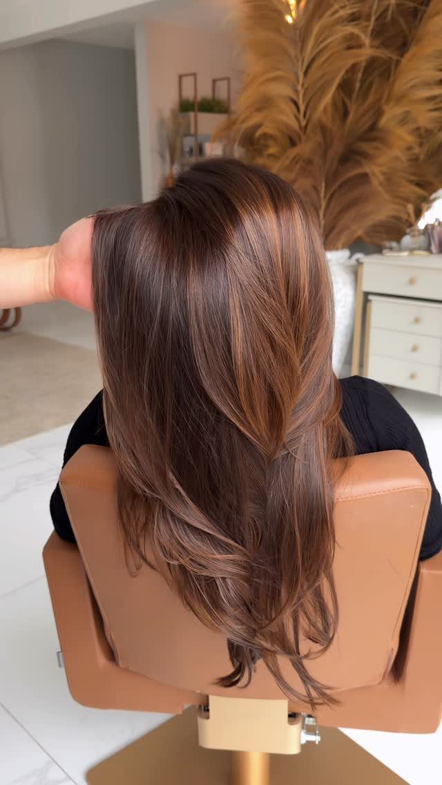 Long brown hair with warm mocha highlights seen from behind in a salon.