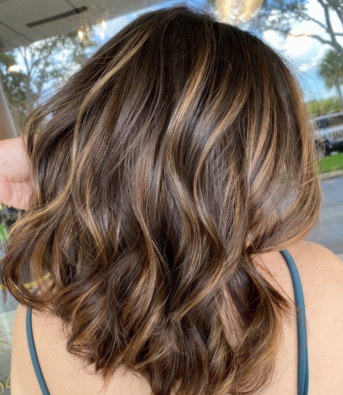 Wavy shoulder-length brown hair with thin honey-blonde highlights seen from the back.