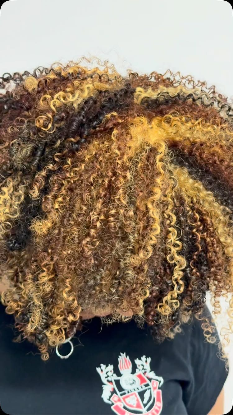 Curly hair with mixed strands of dark brown, copper, and golden-orange tones.