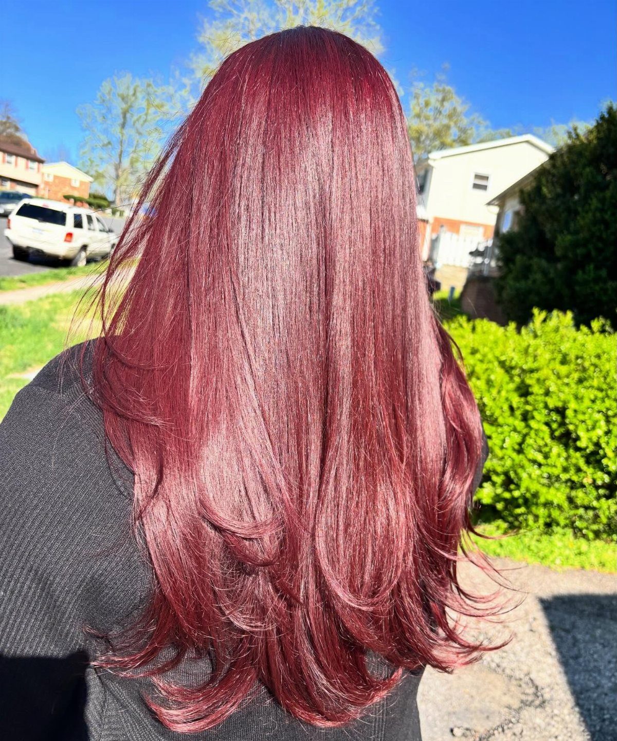 8 Deep Red Hair Dye Ideas for Every Cut and Texture 3 Long deep red hair styled in layers seen from the back outdoors.